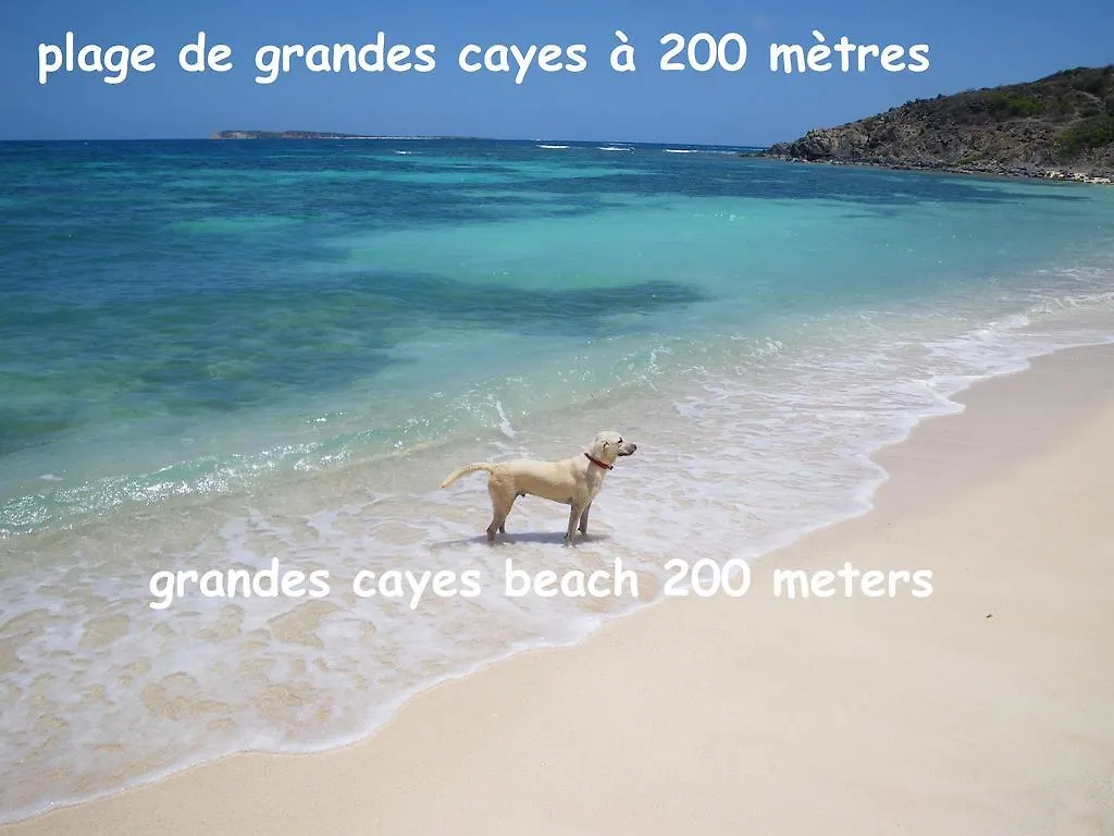 Studio Stmartin Cul de Sac Saint-Martin